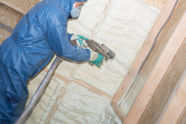 Types of Insulation We Offer in Maroa, IL