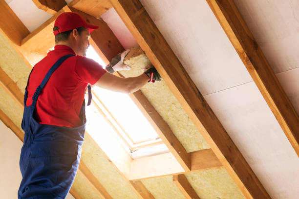 Best Eco-Friendly or Green Insulation Solutions  in Maroa, IL